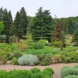 Folly Borászat Badacsonyörs - Egyéb