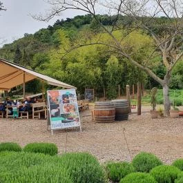 Folly Borászat Badacsonyörs - Egyéb