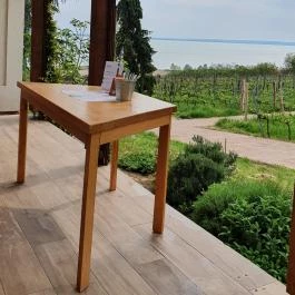 Folly Borászat Badacsonyörs - Egyéb