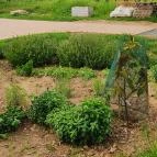 Folly Borászat Badacsonyörs - Egyéb