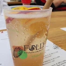 Folly Borászat Badacsonyörs - Egyéb