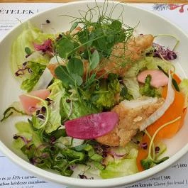 Folly Borászat Badacsonyörs - Egyéb