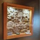 Folly Borászat Badacsonyörs - Egyéb