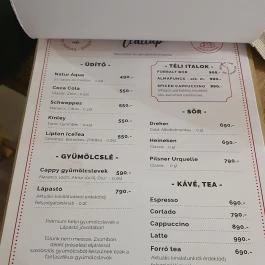 Forró Fogadó étterme Röszke - Egyéb