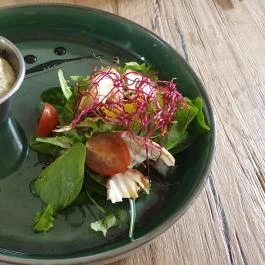 Forró Fogadó étterme Röszke - Egyéb