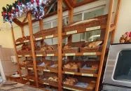 Francia Pékség Szentes