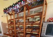 Francia Pékség Szentes