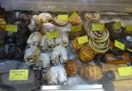 Francia Pékség Debrecen