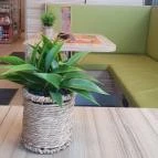 Fresh Corner Szigethalom - Egyéb