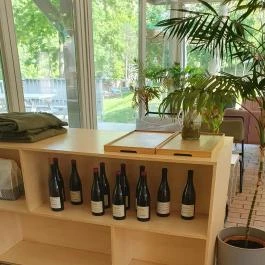 Freyja - Buda, Budapest - Egyéb