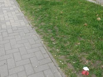 Friss Pékség Dorog