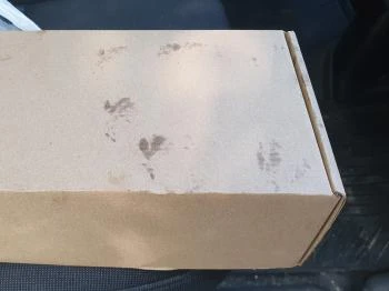 Frizbi Pizzéria Törökszentmiklós Frizbi Pizzéria Törökszentmiklós