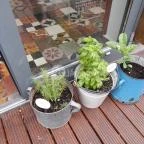 Fruska Picnic & Bistro Budapest - Külső kép