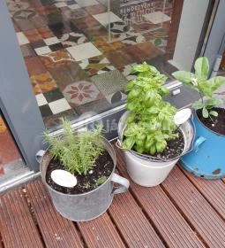 Fruska Picnic & Bistro