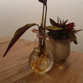 Füge Étterem, Biatorbágy - Egyéb