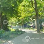 Füge Étterem Tihany - Egyéb