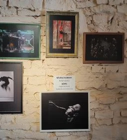 Füge Fagyiudvar & Kávézó