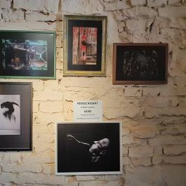 Füge Fagyiudvar & Kávézó Veszprém - Egyéb