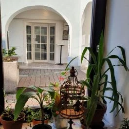 Füge Fagyiudvar & Kávézó Veszprém - Egyéb