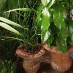 Fürge Páva Monor - Egyéb