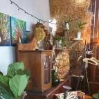 Fürge Páva Monor - Egyéb