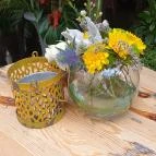 Fürge Páva Monor - Egyéb