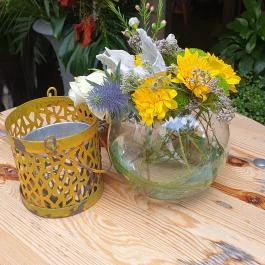 Fürge Páva Monor - Egyéb