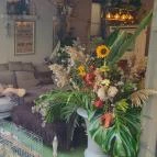 Fürge Páva Monor - Egyéb