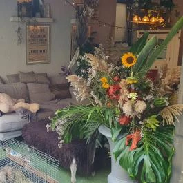 Fürge Páva Monor - Egyéb