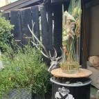 Fürge Páva Monor - Egyéb