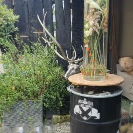 Fürge Páva Monor - Egyéb