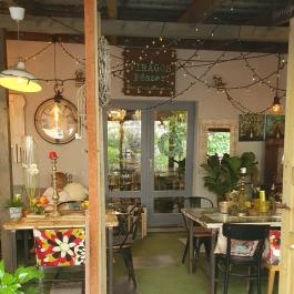 Fürge Páva Monor - Egyéb