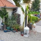 Fürge Páva Monor - Egyéb