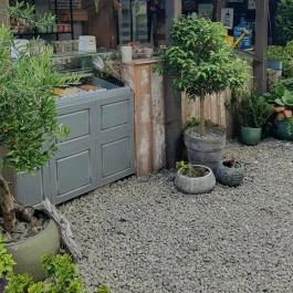 Fürge Páva Monor - Egyéb