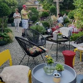 Fürge Páva Monor - Egyéb