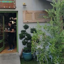 Fürge Páva Monor - Egyéb