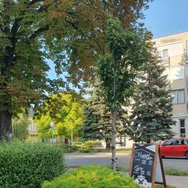 Fürge Páva Monor - Egyéb