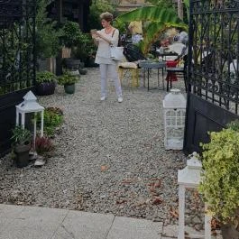 Fürge Páva Monor - Egyéb