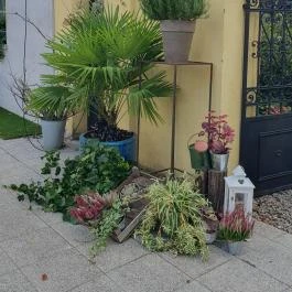 Fürge Páva Monor - Egyéb