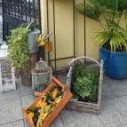 Fürge Páva Monor - Egyéb