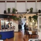 Fűszer Gasztrokert Balatonalmádi - Egyéb