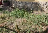 Füzes Sajtműhely - Sajt. Műhely. Reggeli. Poroszló