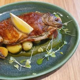 Gábli Makó - Egyéb