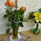 Gádorosi Söröző Szeged - Egyéb