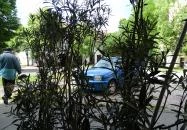 Gádorosi Söröző Szeged