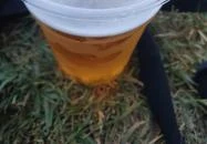 Gazdi Itató Fonyód Gazdi Itató Fonyód