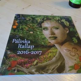 Gedeon Kézműves Söröző, Nyíregyháza - Egyéb