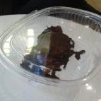 Gelati - Árkád Budapest - Étel/ital