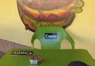 Gesztenye Kávézó & Falatozó Kondoros