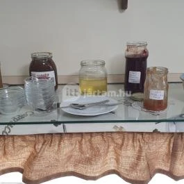 Gizella Vendégház, Badacsonytomaj - Vendéglátás